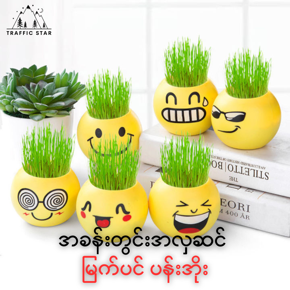 Small potted grass head Mini office plants