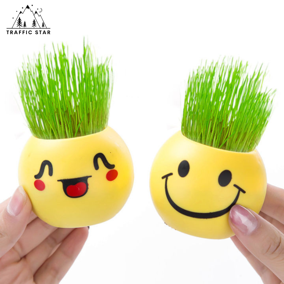 Small potted grass head Mini office plants