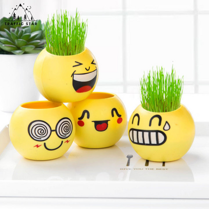 Small potted grass head Mini office plants