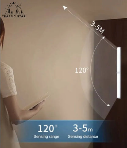 Wall Light with Motion Sensor